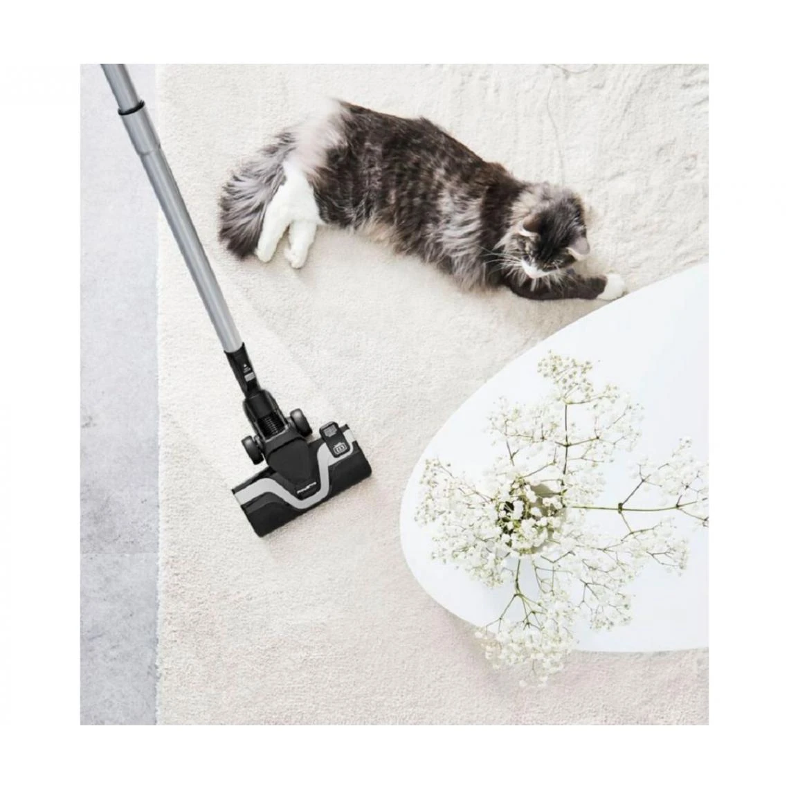 Aspirateur Traineau Avec Sac Rowenta Silence Force RO7481EA – Image 8