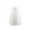 Universal Diffuseur D'huiles Essentielles D'aromathérapie 100ml Humidificateur ...